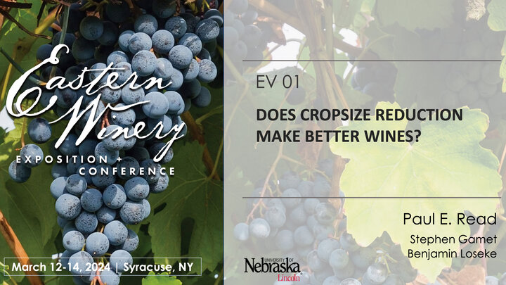 Does Cropsize Reduction Make Better Wines?